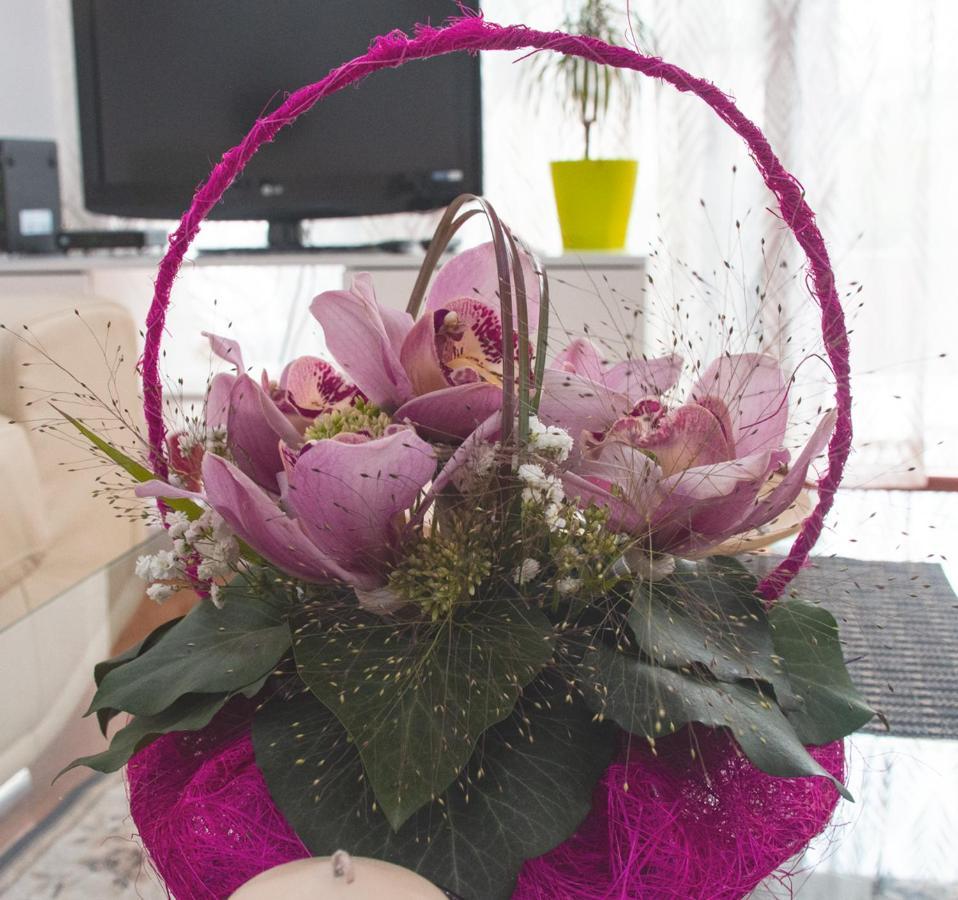 Apartment Joy Belgrade Luaran gambar
